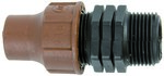 Screwed LOCK adapter, GZ 3/4" for 16 mm cables, BF-82-75 LOCK