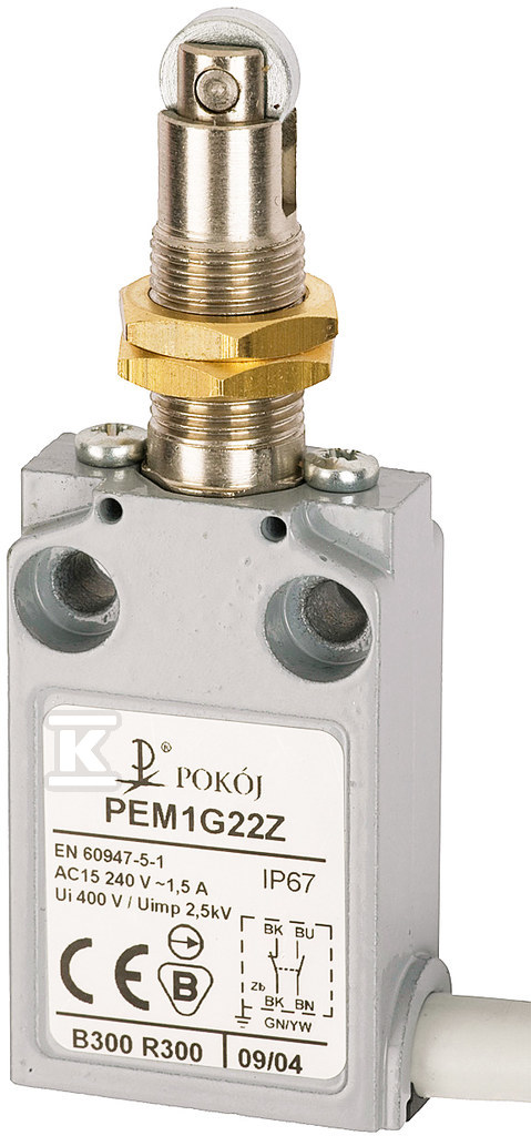 PEM1G22X single position limit switch - A37-A88X