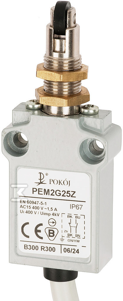 Interrupteur de fin de course PEM2G25X - A37-B91X