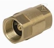 DN50 check valve, 2 "female thread, - 1.3121.050.1620