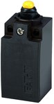 Limit switch LS-11S-SW/F 1NO + 1NC snap action