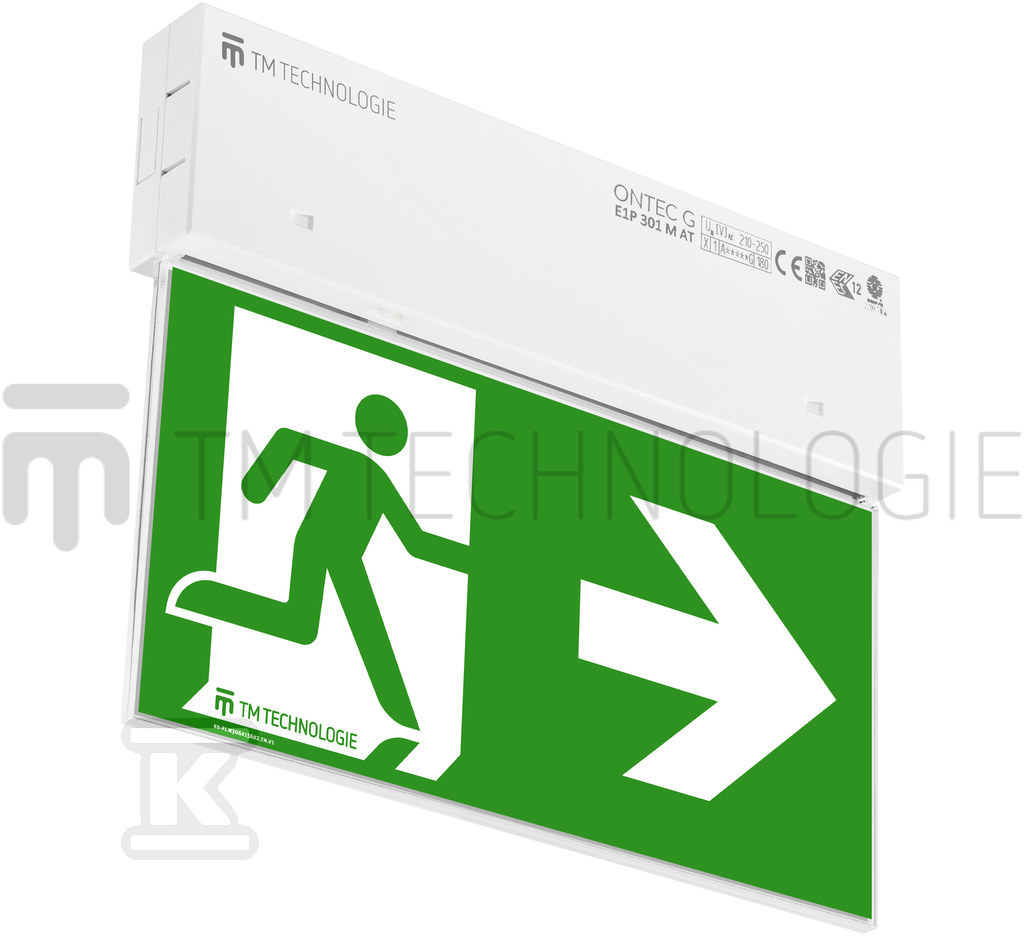 Oprawa sieciowo-awaryjna LED, ONTEC G - TM-OG.EB.ST103