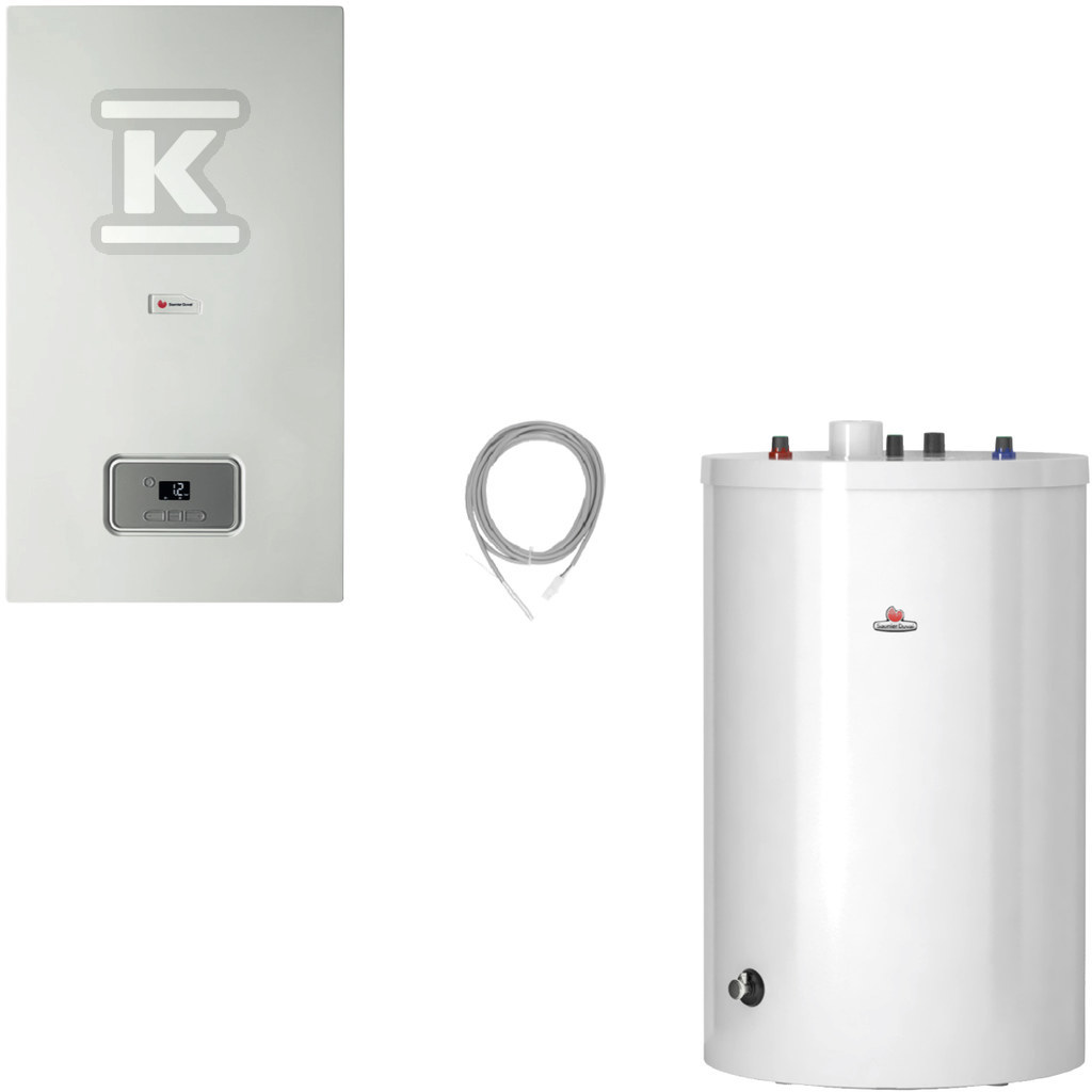 Condensing boiler with water heater - 0010019694