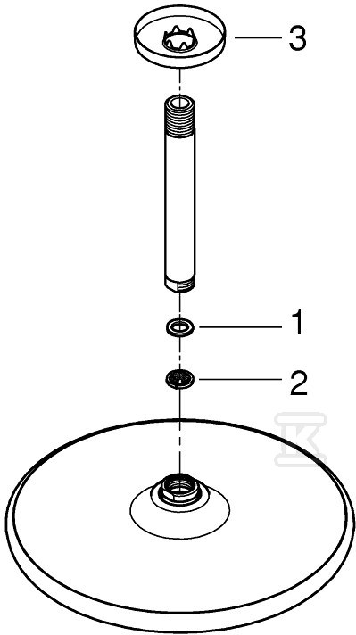 Tempesta 250 Shower head with a ceiling - 26664000