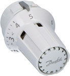 RAW 5115 thermostatic head