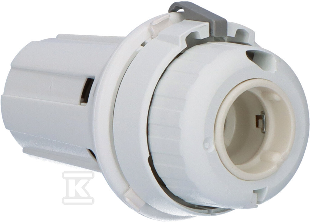 RAW 5115 thermostatic head - 013G5115