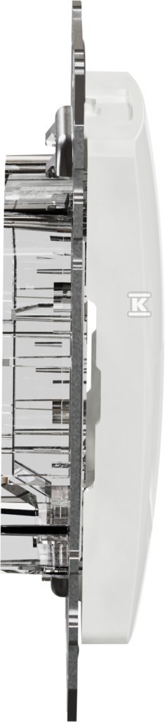 2xRJ45 central plate for 5e-6 UTP AMP - SDD111442C