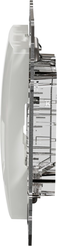 2xRJ45 central plate for 5e-6 UTP AMP - SDD111442C