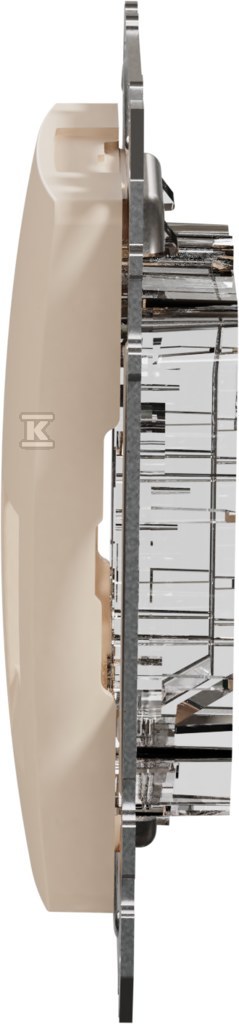 Central plate 2xRJ45 for 5e-6 UTP AMP - SDD112442C