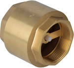 Check valve with spring TIGER brass 2 "