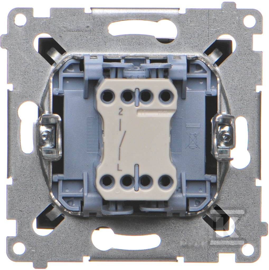 Single pole switch (module) 10AX, 250V - DW1.01/49