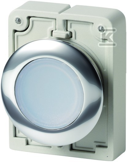 Illuminated pushbutton 30mm flat, white - 182925