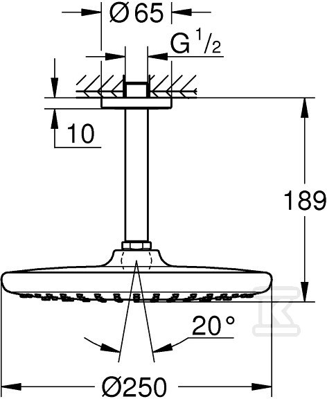 Tempesta 250 Shower head with a ceiling - 26664000