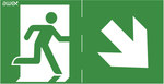 Pictogram 23 100x300 peasant in the door oblique arrow up / down awex logo (ISO7010) Ref. No .: PM23