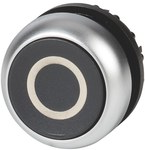 Drive M22-D-S-X0 Buton negru plat cu revenire cu arc