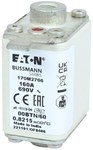 Wkładka szybka, 160 A, AC 690 V, rozmiar 00,30 x 62 x 64 mm, aR, IEC, pojedynczy wskaźnik 170M2766