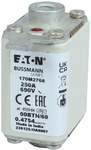Wkładka szybka, 250 A, AC 690 V, rozmiar 00,30 x 62 x 64 mm, aR, IEC, pojedynczy wskaźnik 170M2768