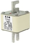 Wkładka szybka, 630 A, AC 690 V, DIN 2, 61 x 61 x 108 mm, aR, DIN, IEC, pojedynczy wskaźnik, rozstaw 80 mm 170M5012