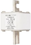 Wkładka szybka, 700 A, AC 690 V, DIN 2, aR, DIN, IEC, pojedynczy wskaźnik, nieizolowane uchwyty 170M5013
