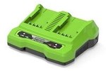 Charger 2 A Dual Slot Greenworks G24X2Uc2 24V