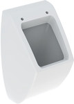 Pareo urinal for cover, B30 cm, H52 cm, T26.5 cm, inlet at the rear, outlet at the rear