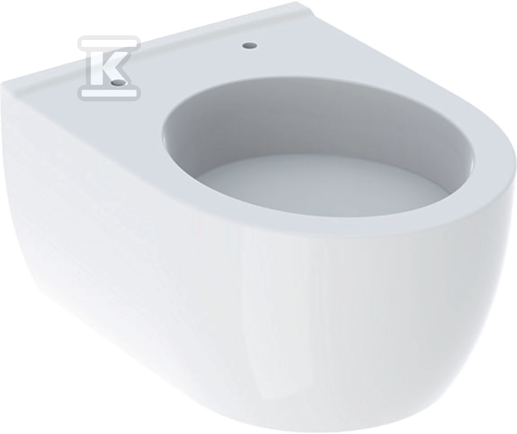 Miska wisząca WC iCon z ceramiczną - 204030000