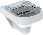 Publica sink with hinged grate