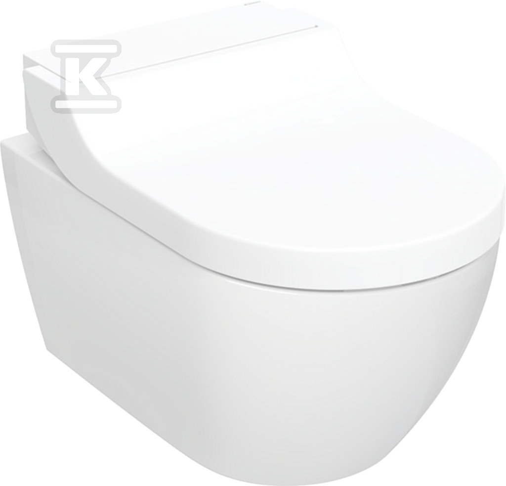 Toilet device with intimate hygiene - 146.292.SI.1