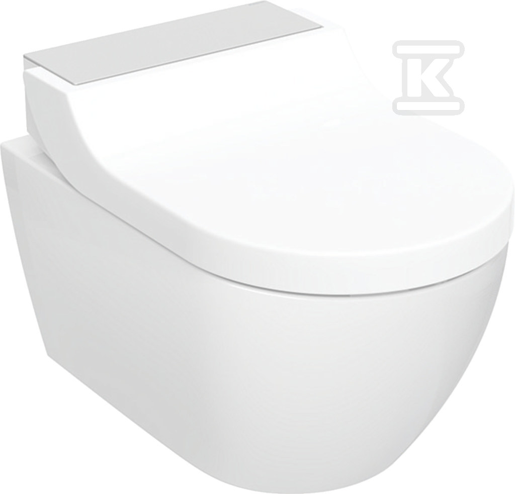 Toilet device with intimate hygiene - 146.292.FW.1