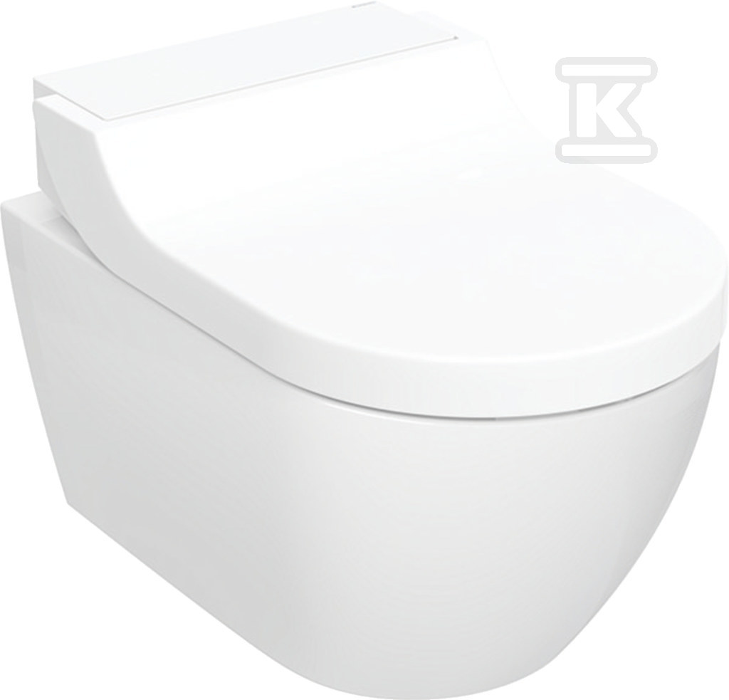 Toilet unit with intimate hygiene - 146.292.11.1