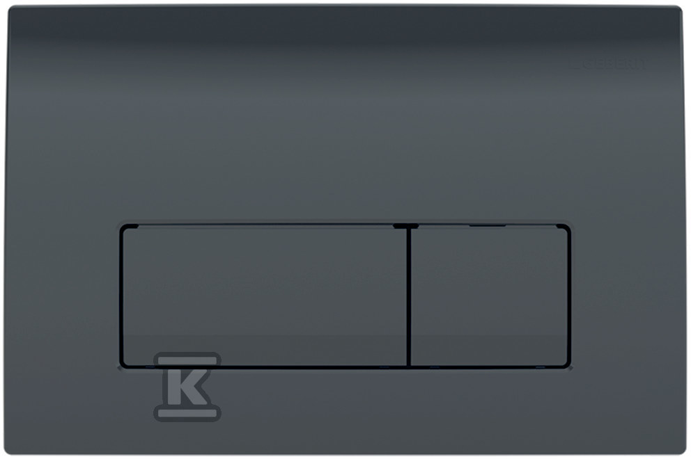 Delta50-Spültaster, vorne, schwarz RAL - 115.119.DW.1