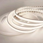 NEXTEC EX LED strip, 24V, 2216, 12W, 288LED, IP67, 3000K +/-100K, 110lm/W, RA>90, 5m, 10mm