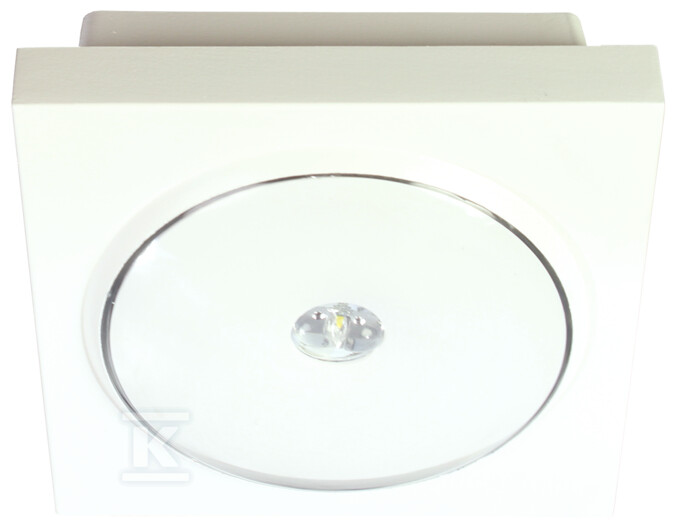 Emergency luminaire IP65 ILDR029ML - ILDR029ML-IP65_PL