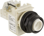 Lampka sygnalizacyjna PUSH TO TEST 110/120V, 30 mm
