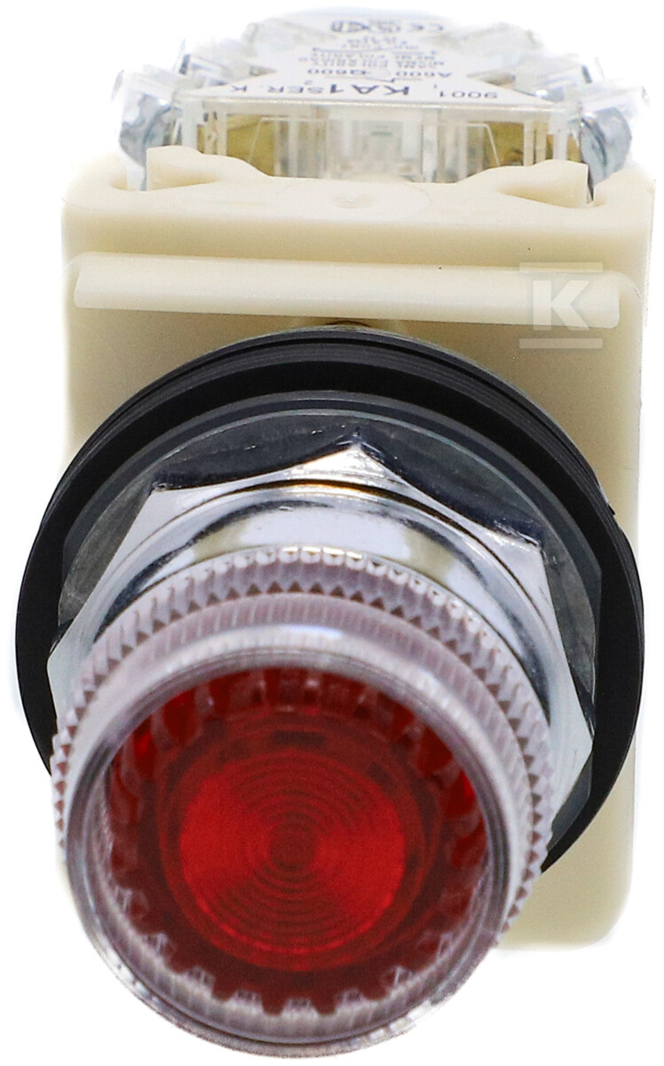 Przycisk kryty 600V AC, 10A, O30 - 9001K1L38LRRH13