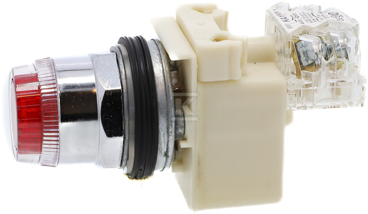 Przycisk kryty 600V AC, 10A, O30 - 9001K1L38LRRH13