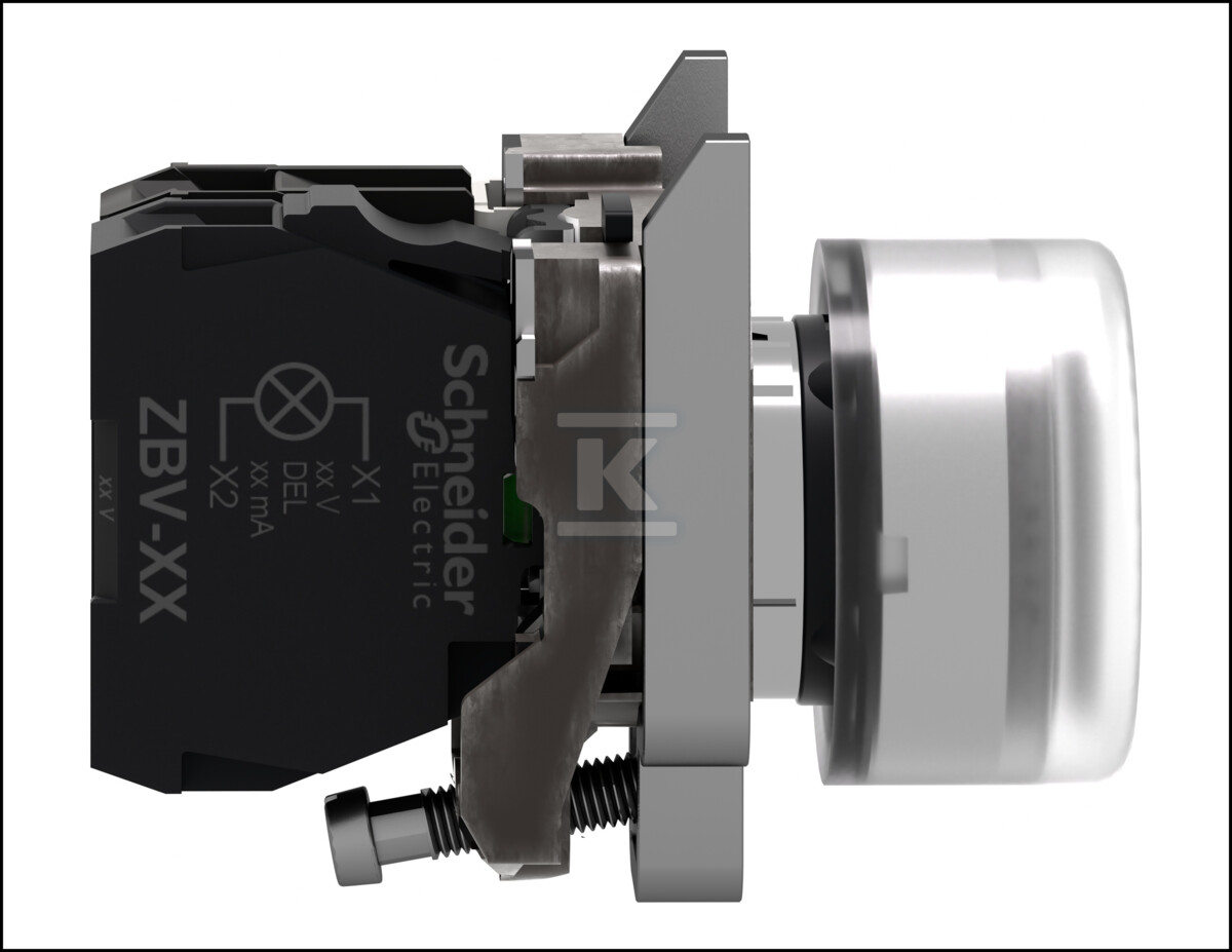 White hooded button without LED 22-24V - XB4BP183B5EX