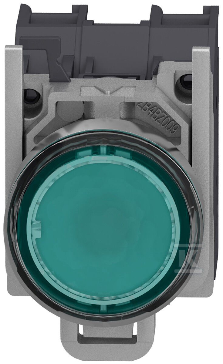 Green illuminated button AEx 24 24 - XB4BP383BM5GEX
