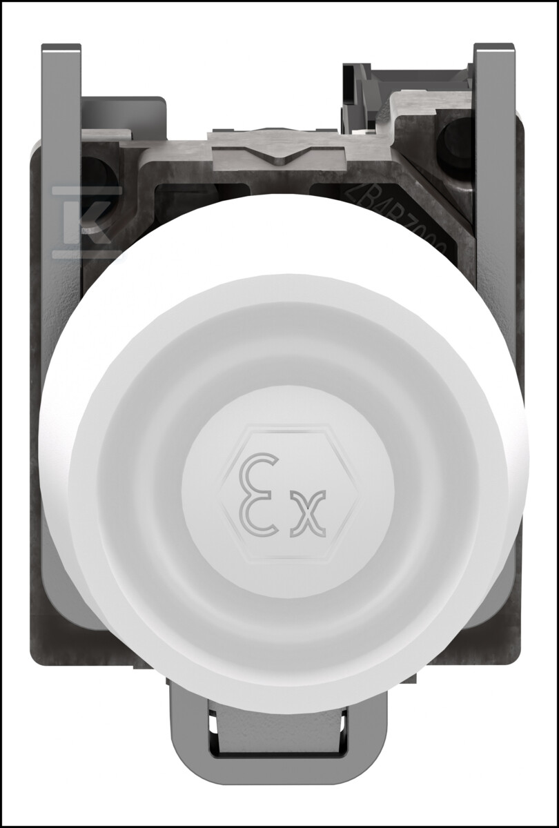 Hooded button, white, return-return - XB4BPS11EX