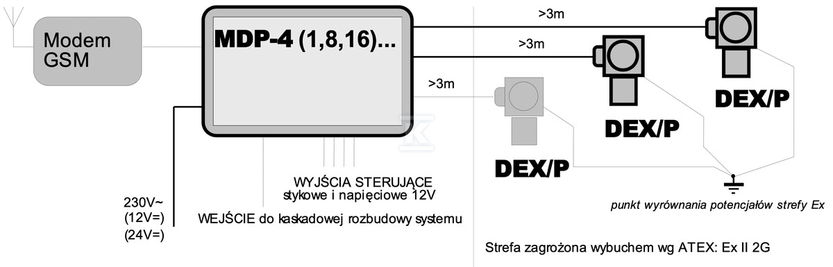 Detektor gazów DEX-P1KL5/N - DEX-P1KL5/N