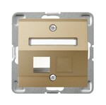 Скошений корпус одинарного гнізда типу Keystone — ЗОЛОТИЙ МЕТАЛІК ІМПРЕСІЯ