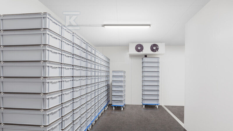 Світильник герметичний WT060C - 911401876880