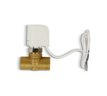 Двоходовий клапан з приводом 3/4" для нагрівачів AEROCK AC і EC