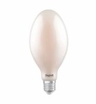 Lampa żarówka LED do lamp zewnętrznych ZAF ED120 8100LM 60W E40 2.7K