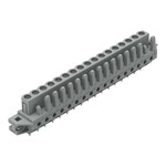 Gniazdo THT, konstrukcja prosta, raster 5 mm, 17-biegunowe kołnierz mocujący, pin lutowniczy 0,6 x 1,0 mm, szary