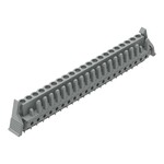Gniazdo THT, konstrukcja prosta, raster 5 mm, 21-biegunowe zaczep ryglujący, pin lutowniczy 0,6 x 1,0 mm, szary