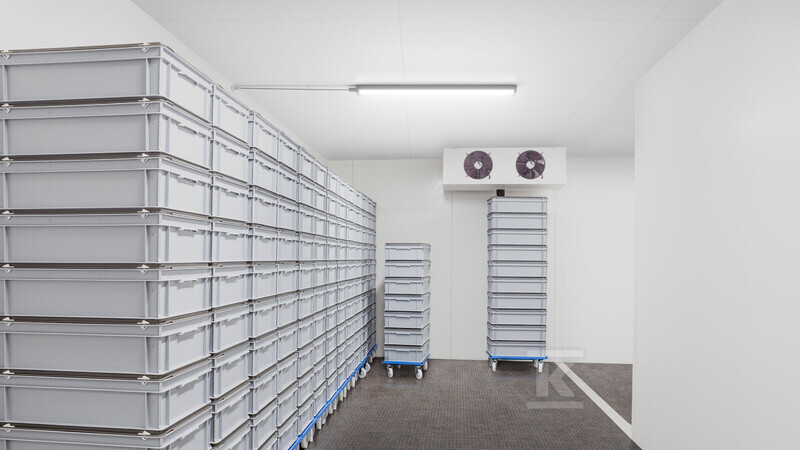 Герметичний світильник LED WT060C - 911401876880