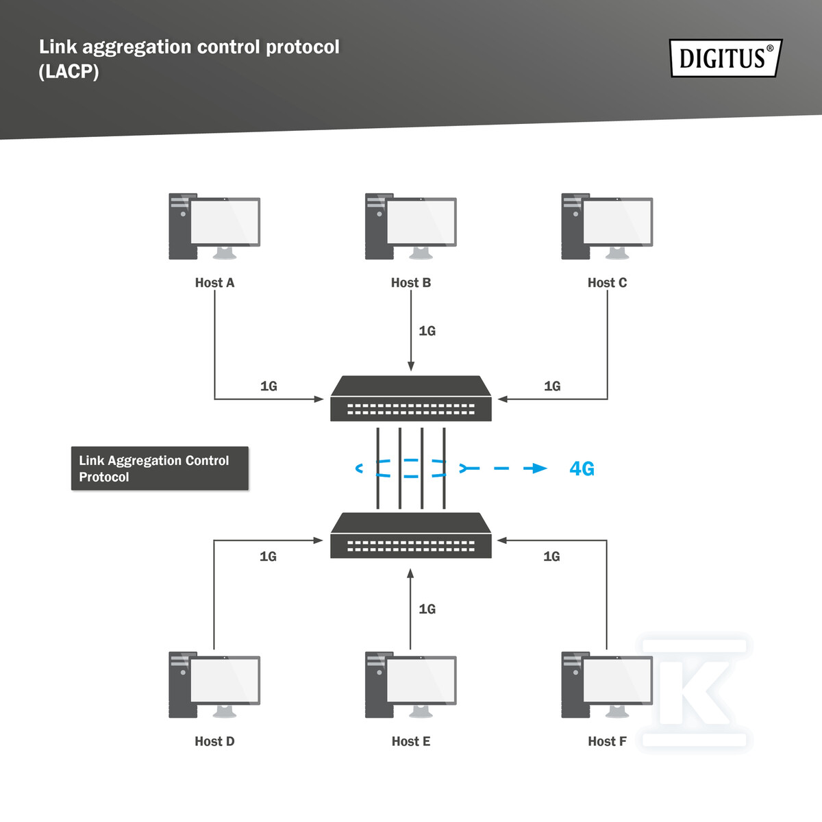 L2 managed Gigabit Ethernet PoE - DN-95331