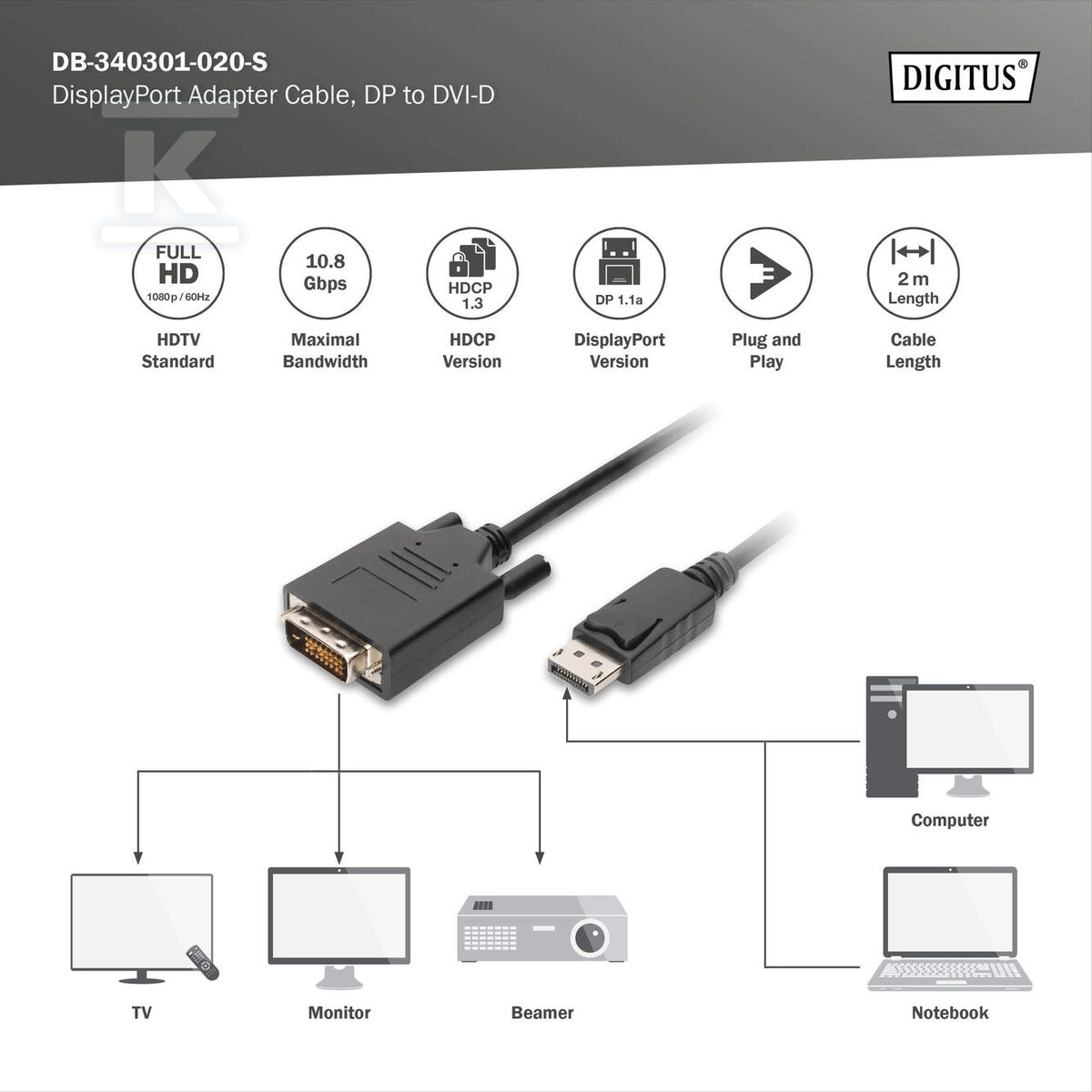 DisplayPort adapter cable, DP - DVI - DB-340301-020-S
