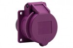 Роз'єм панельний 16A 2P 24V Фланець 55x55